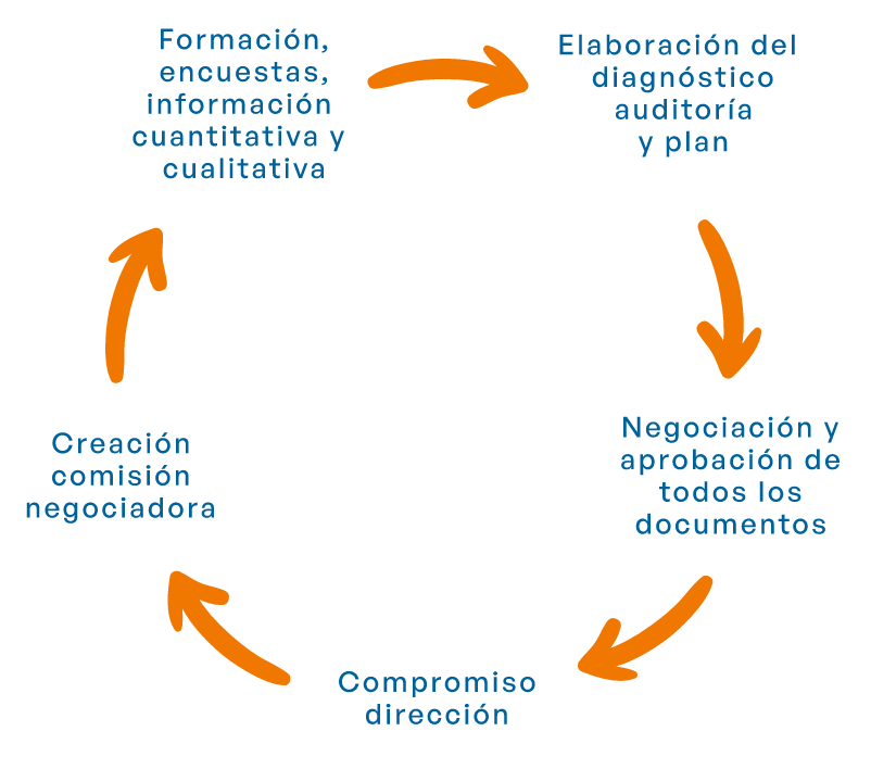 fases del proceso