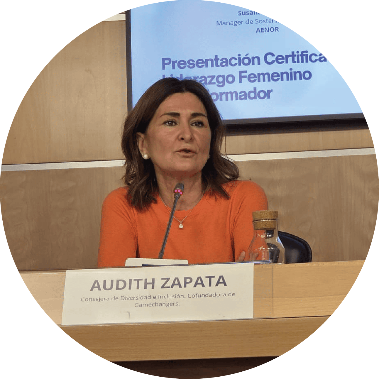 Conferencias
